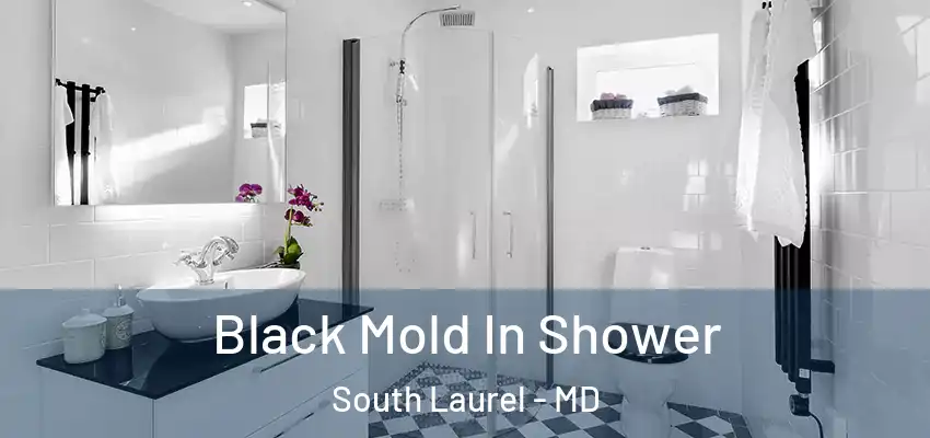  Black Mold In Shower South Laurel - MD