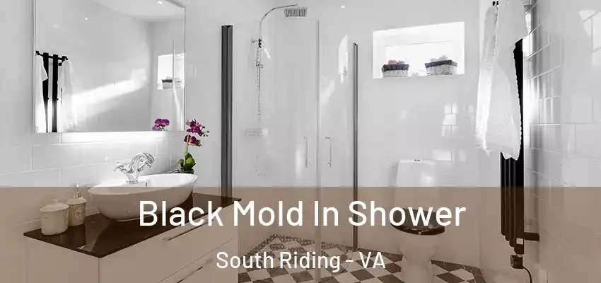 Black Mold In Shower South Riding - VA