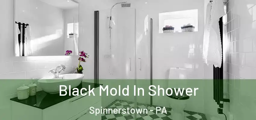  Black Mold In Shower Spinnerstown - PA
