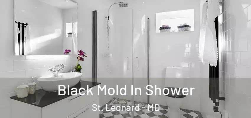 Black Mold In Shower St. Leonard - MD