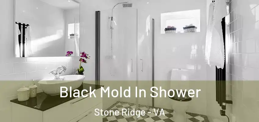  Black Mold In Shower Stone Ridge - VA