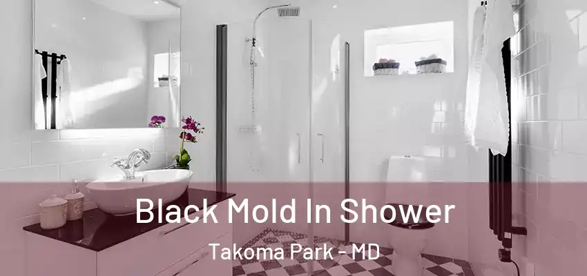Black Mold In Shower Takoma Park - MD