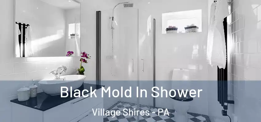 Black Mold In Shower Village Shires - PA