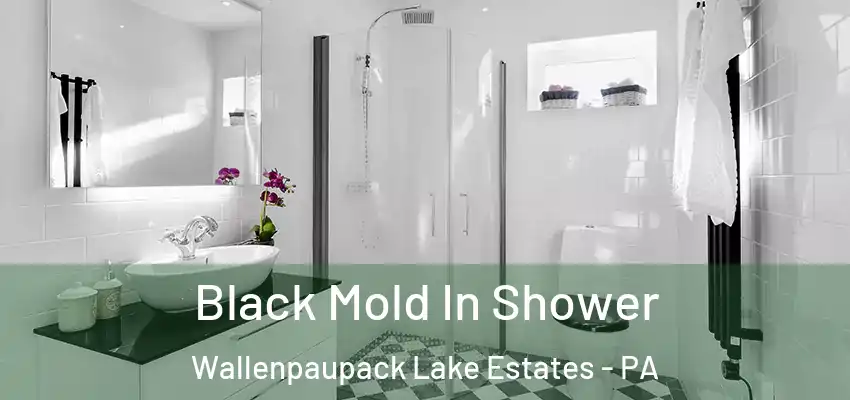Black Mold In Shower Wallenpaupack Lake Estates - PA