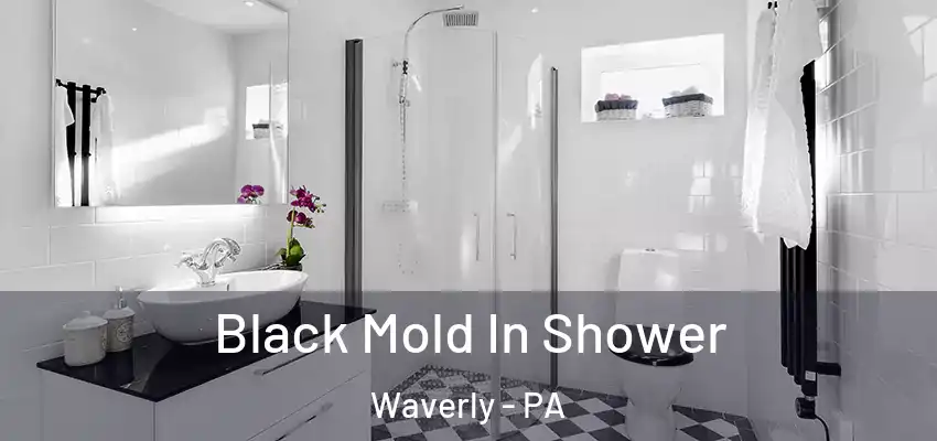  Black Mold In Shower Waverly - PA