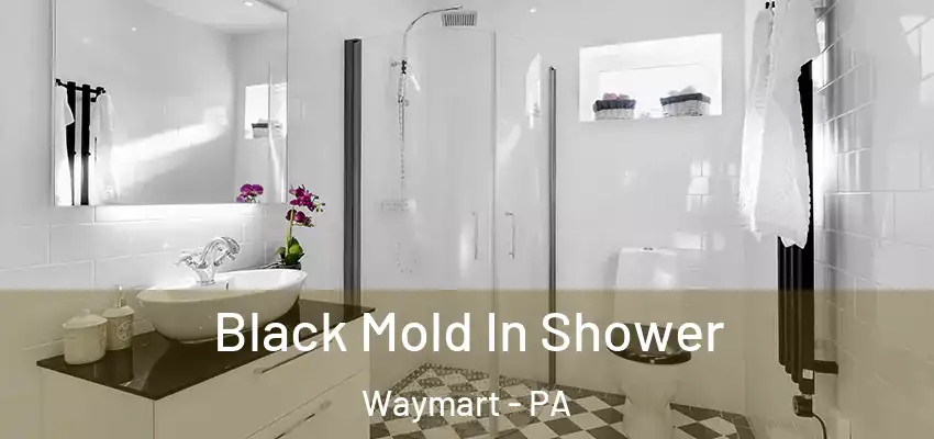  Black Mold In Shower Waymart - PA