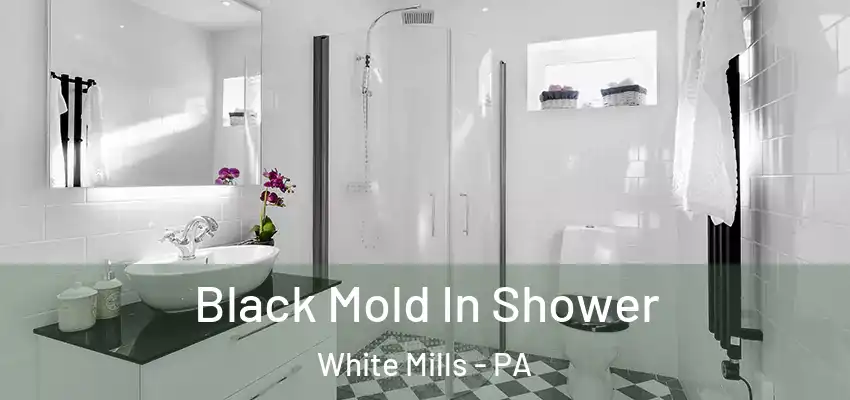 Black Mold In Shower White Mills - PA