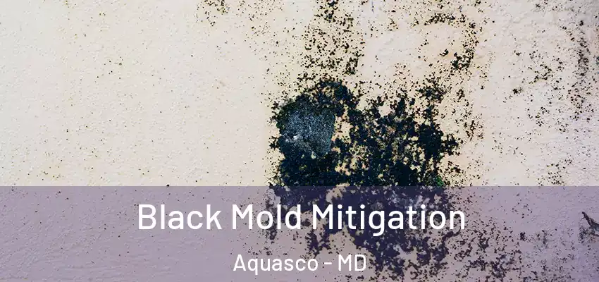  Black Mold Mitigation Aquasco - MD