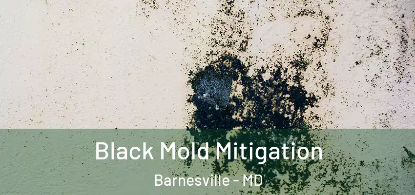  Black Mold Mitigation Barnesville - MD