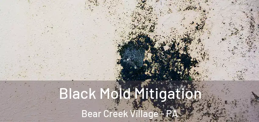 Black Mold Mitigation Bear Creek Village - PA