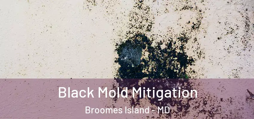  Black Mold Mitigation Broomes Island - MD