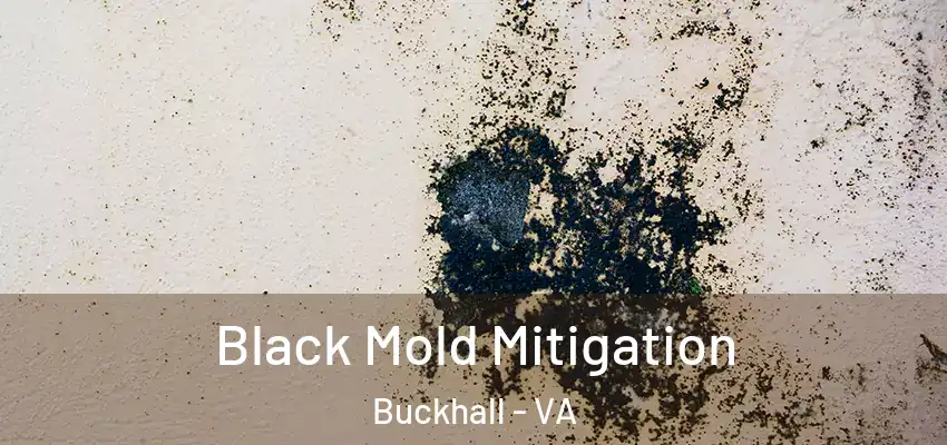  Black Mold Mitigation Buckhall - VA