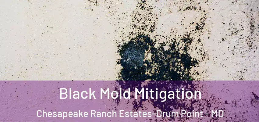 Black Mold Mitigation Chesapeake Ranch Estates-Drum Point - MD