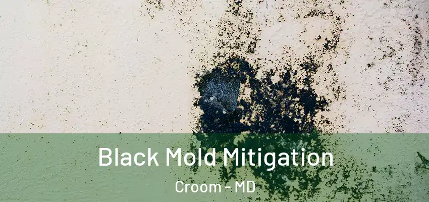  Black Mold Mitigation Croom - MD