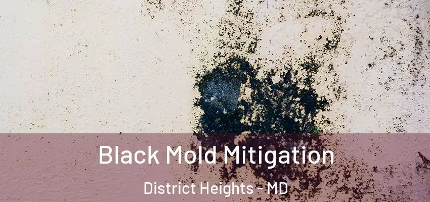 Black Mold Mitigation District Heights - MD