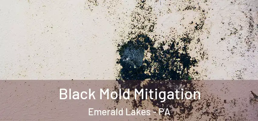  Black Mold Mitigation Emerald Lakes - PA