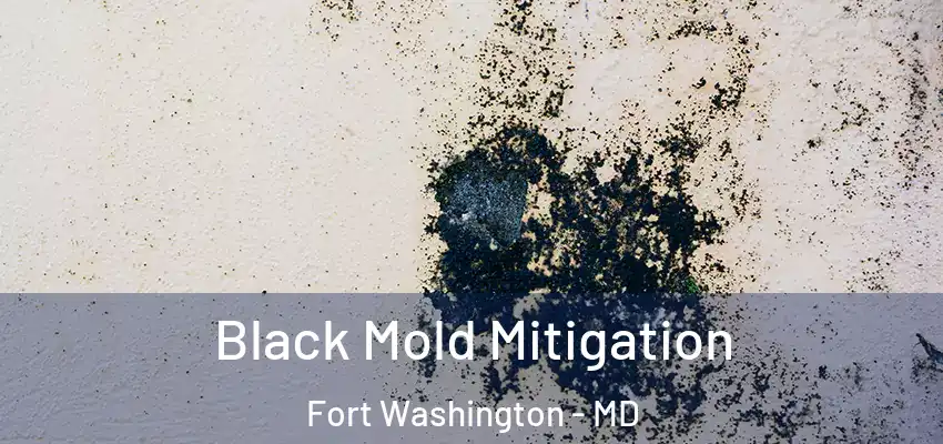Black Mold Mitigation Fort Washington - MD