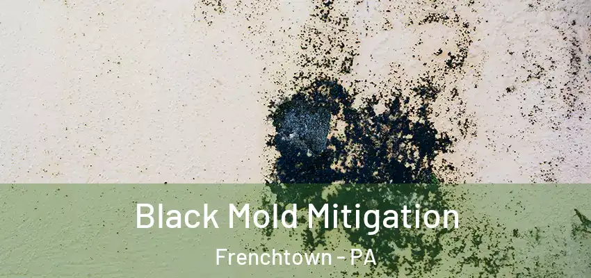 Black Mold Mitigation Frenchtown - PA