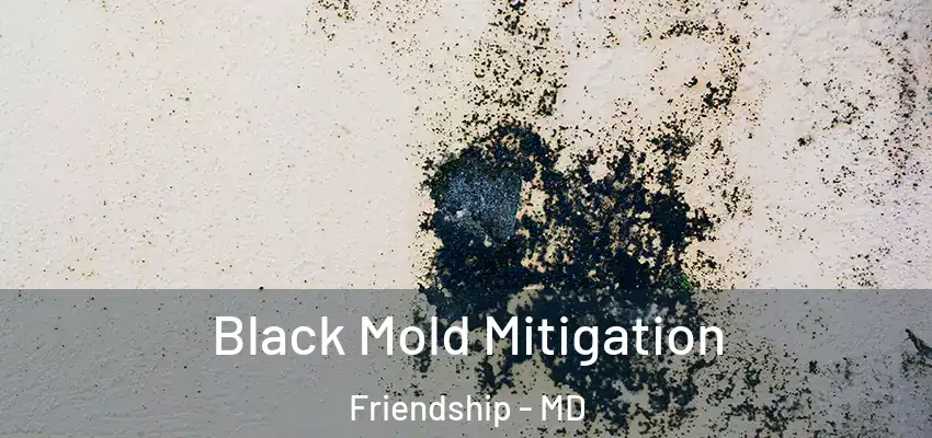 Black Mold Mitigation Friendship - MD