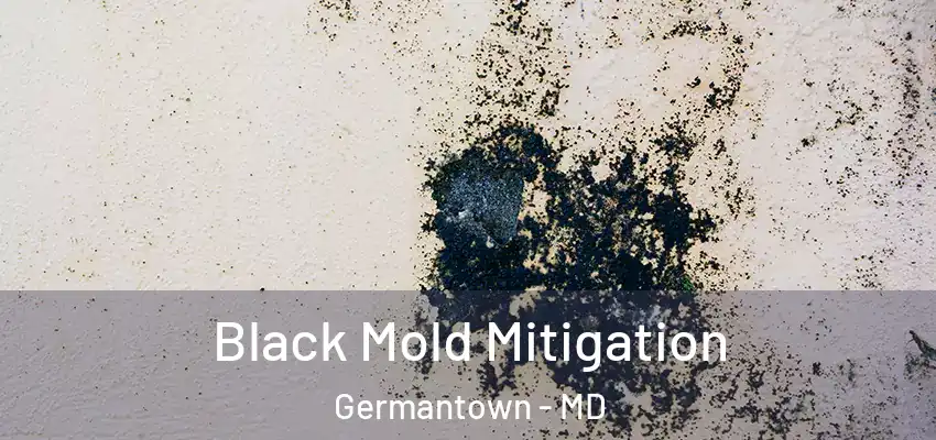 Black Mold Mitigation Germantown - MD
