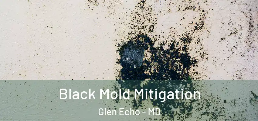  Black Mold Mitigation Glen Echo - MD