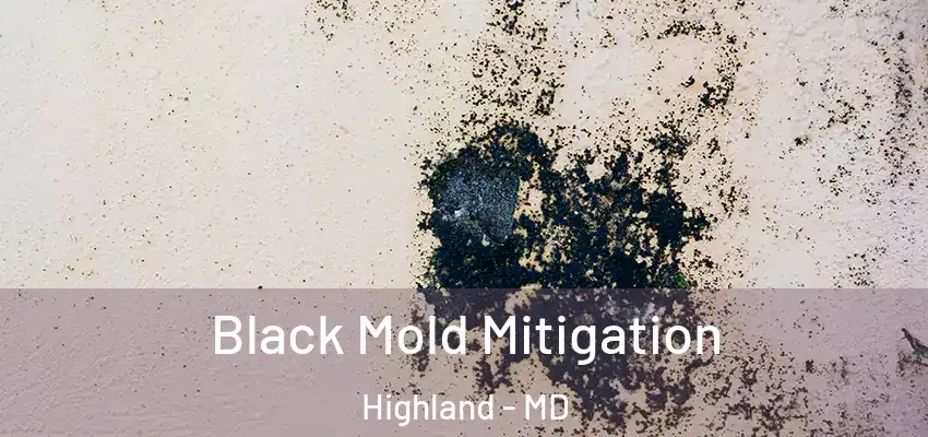 Black Mold Mitigation Highland - MD