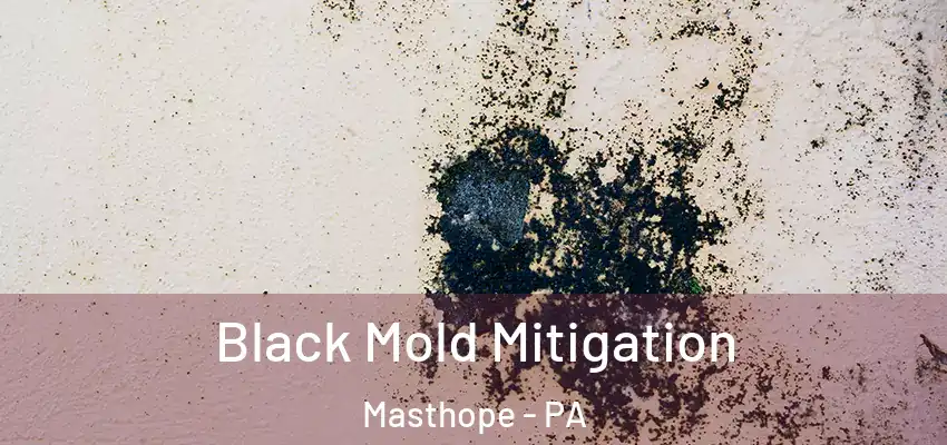 Black Mold Mitigation Masthope - PA