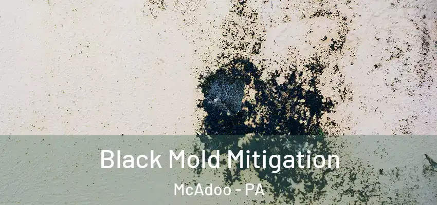  Black Mold Mitigation McAdoo - PA