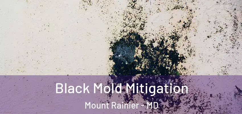 Black Mold Mitigation Mount Rainier - MD