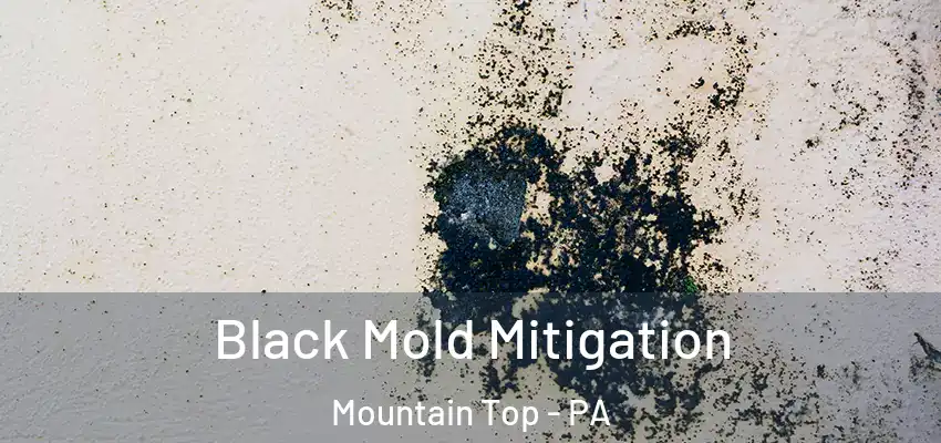 Black Mold Mitigation Mountain Top - PA