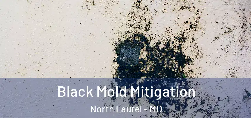  Black Mold Mitigation North Laurel - MD