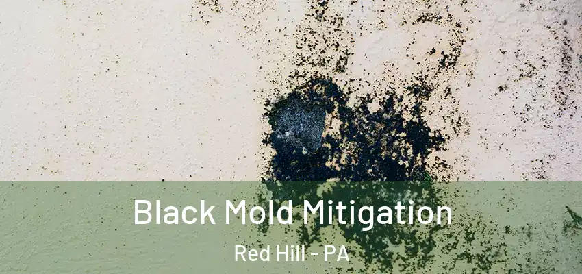  Black Mold Mitigation Red Hill - PA