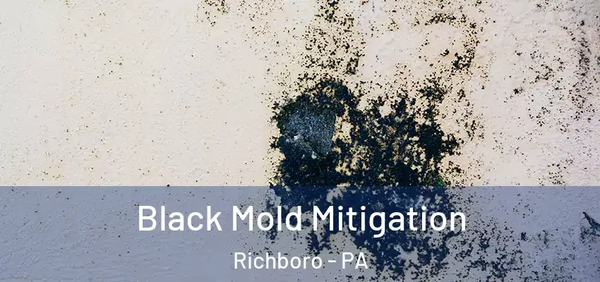 Black Mold Mitigation Richboro - PA