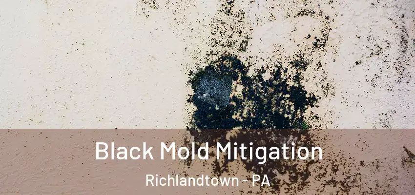 Black Mold Mitigation Richlandtown - PA