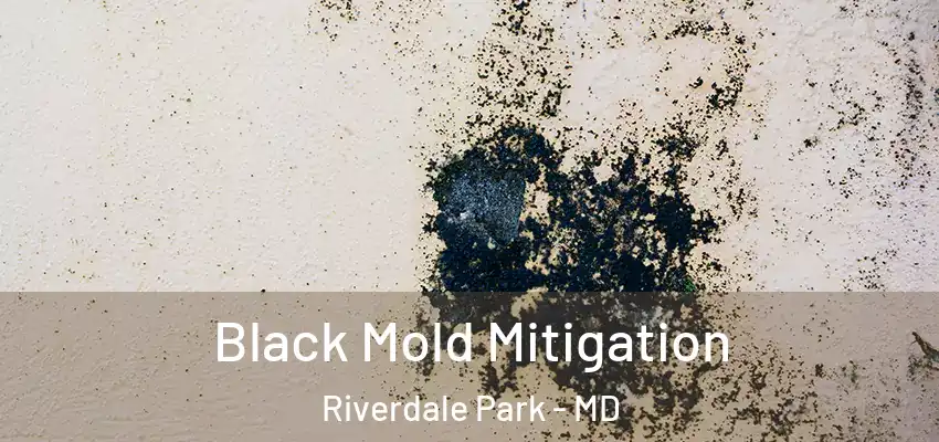  Black Mold Mitigation Riverdale Park - MD
