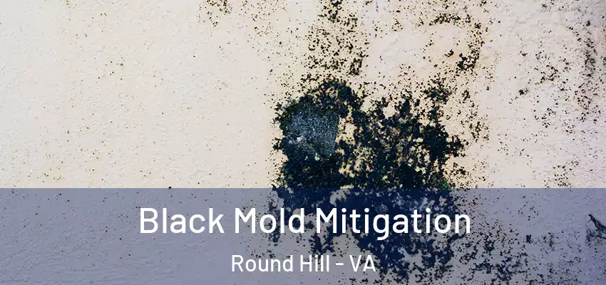 Black Mold Mitigation Round Hill - VA