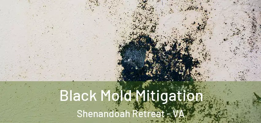  Black Mold Mitigation Shenandoah Retreat - VA