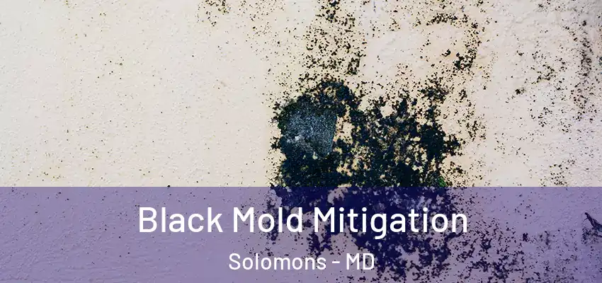  Black Mold Mitigation Solomons - MD