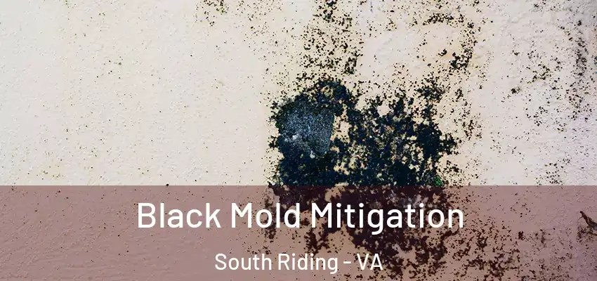 Black Mold Mitigation South Riding - VA