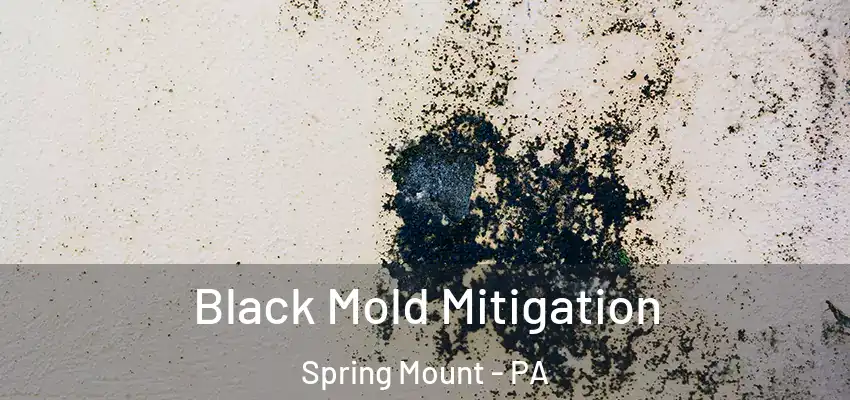 Black Mold Mitigation Spring Mount - PA