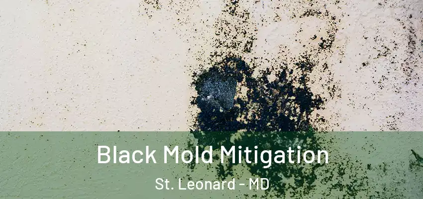  Black Mold Mitigation St. Leonard - MD