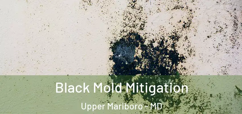 Black Mold Mitigation Upper Marlboro - MD