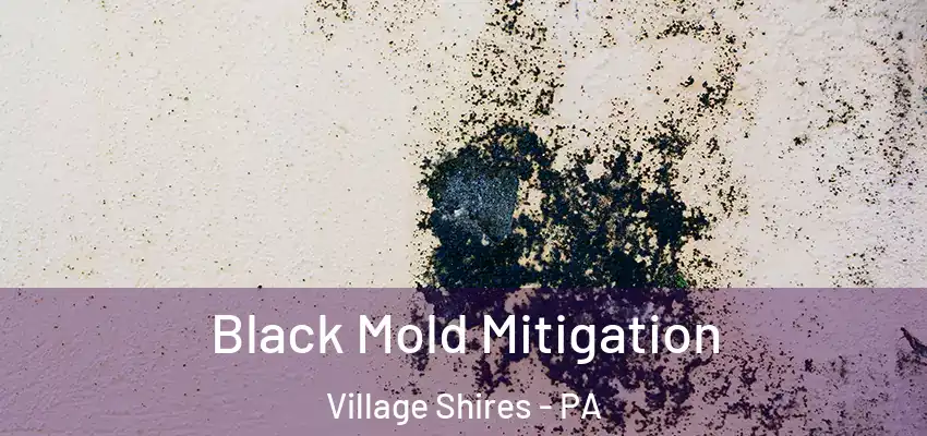  Black Mold Mitigation Village Shires - PA