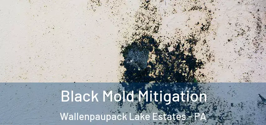 Black Mold Mitigation Wallenpaupack Lake Estates - PA