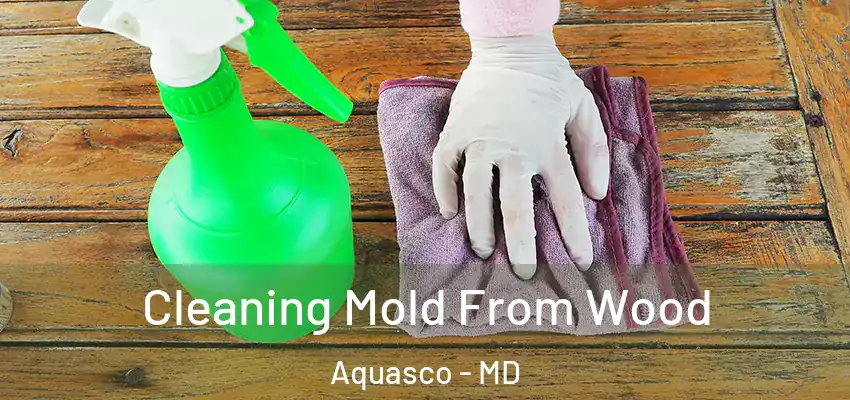  Cleaning Mold From Wood Aquasco - MD