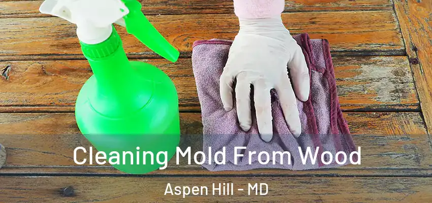  Cleaning Mold From Wood Aspen Hill - MD