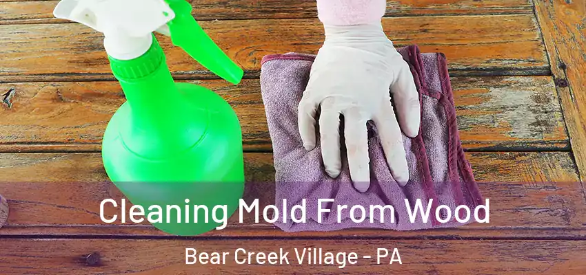  Cleaning Mold From Wood Bear Creek Village - PA