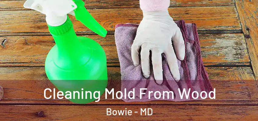  Cleaning Mold From Wood Bowie - MD