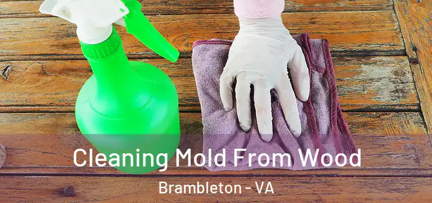  Cleaning Mold From Wood Brambleton - VA