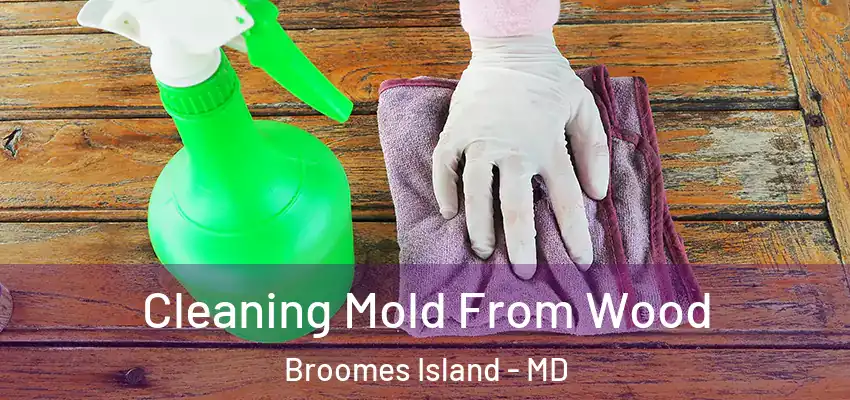 Cleaning Mold From Wood Broomes Island - MD